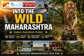 Into the Wild Maharashtra