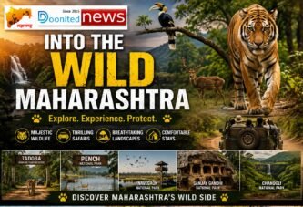Into the Wild Maharashtra